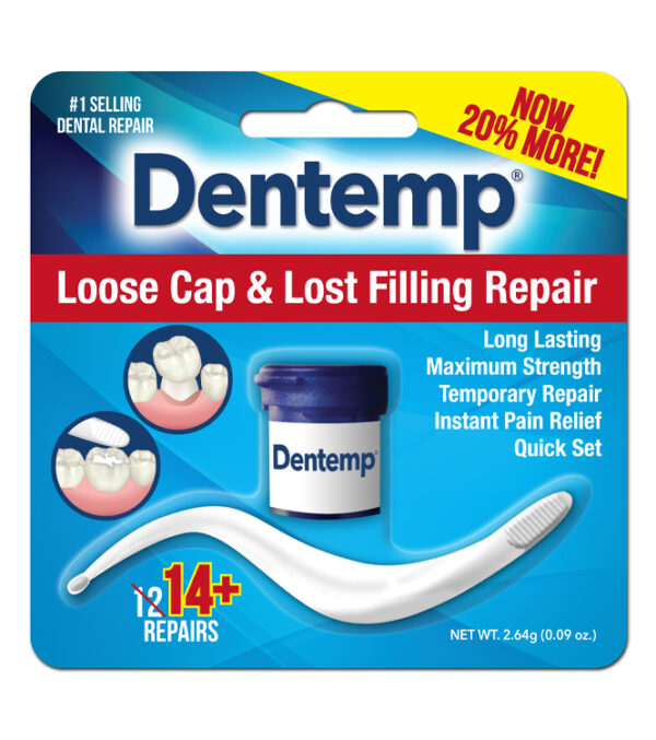 Dentemp Repair Kit